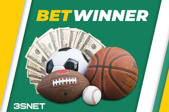 BetWinner Platform A Comprehensive Guide to Online Betting